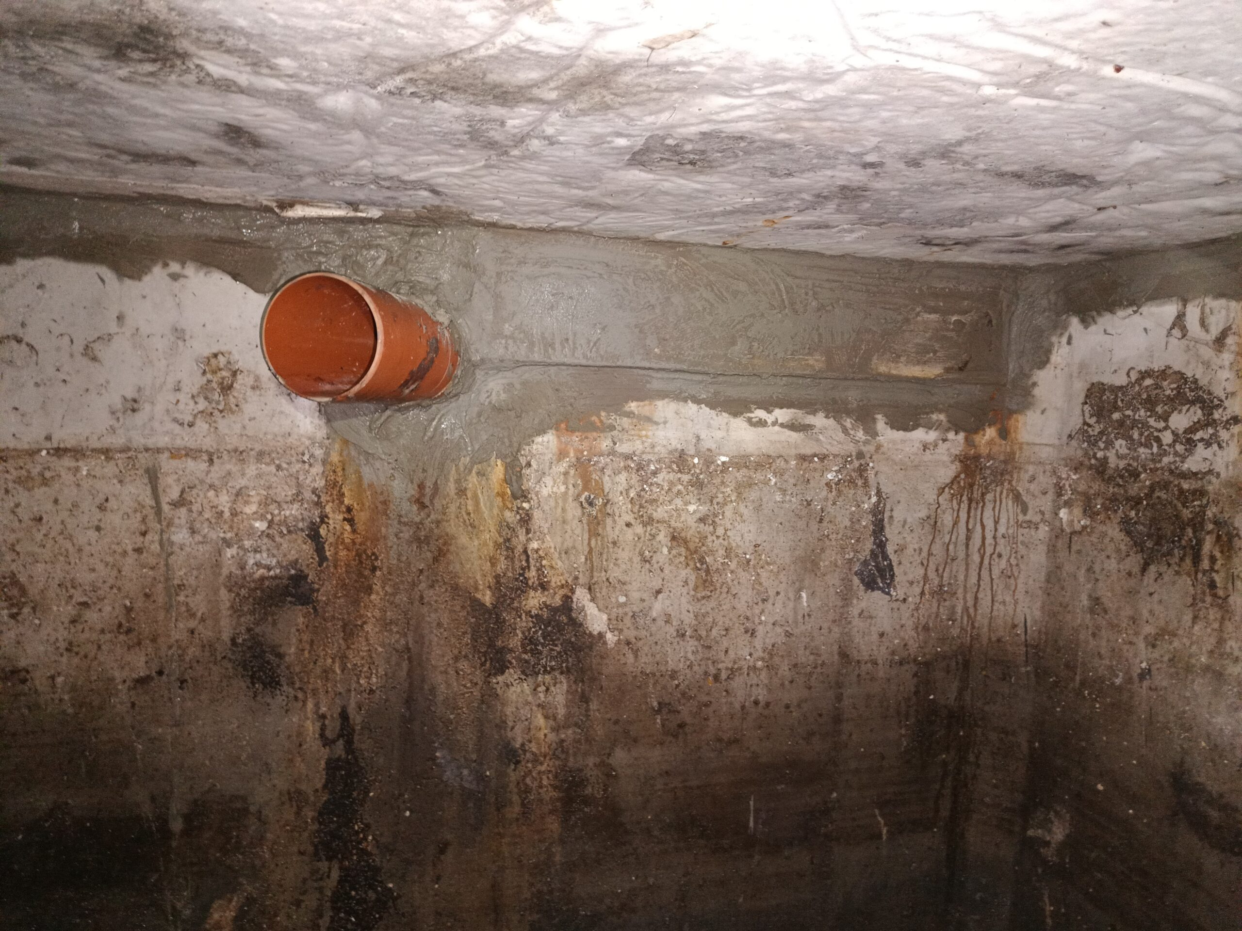 img 20240713 094716113 (1)